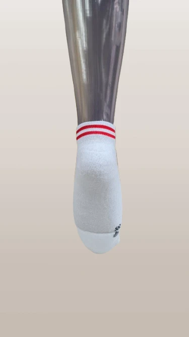 550-20220401100019-removebg-preview-17500902467216.png