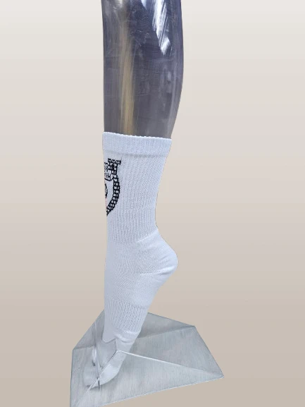 550-20231124121522-removebg-preview-17500907164987.png