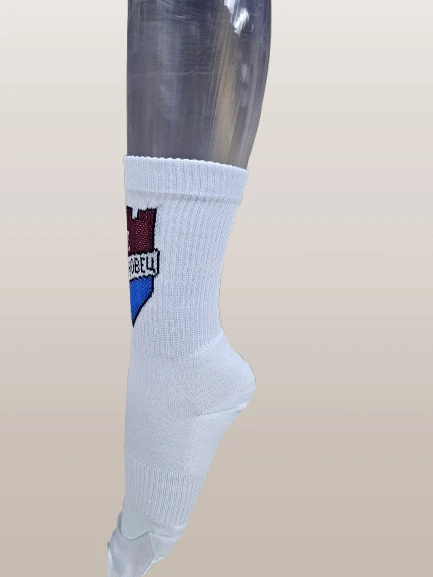 550-20231124121743-removebg-preview-1750090716506.png