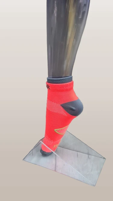 553-20220314110829-removebg-preview-17500905947344.png