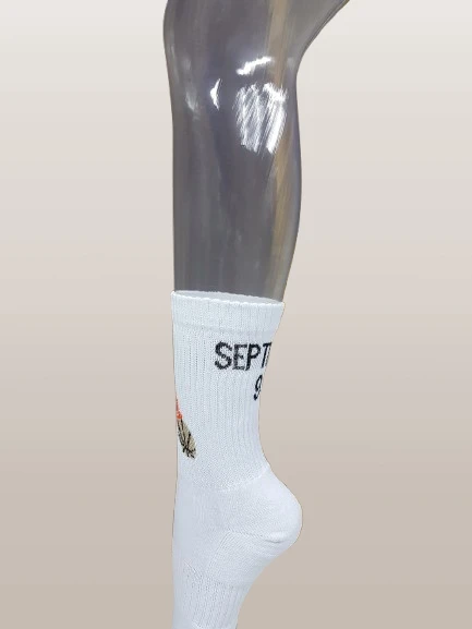 563-20191031103658-removebg-preview-17500892628756.png