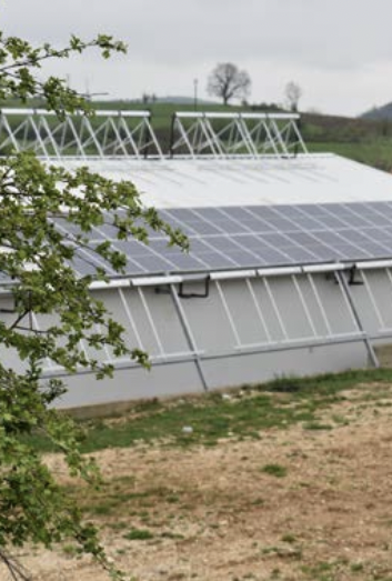 project-solar-front-bioferma-bg