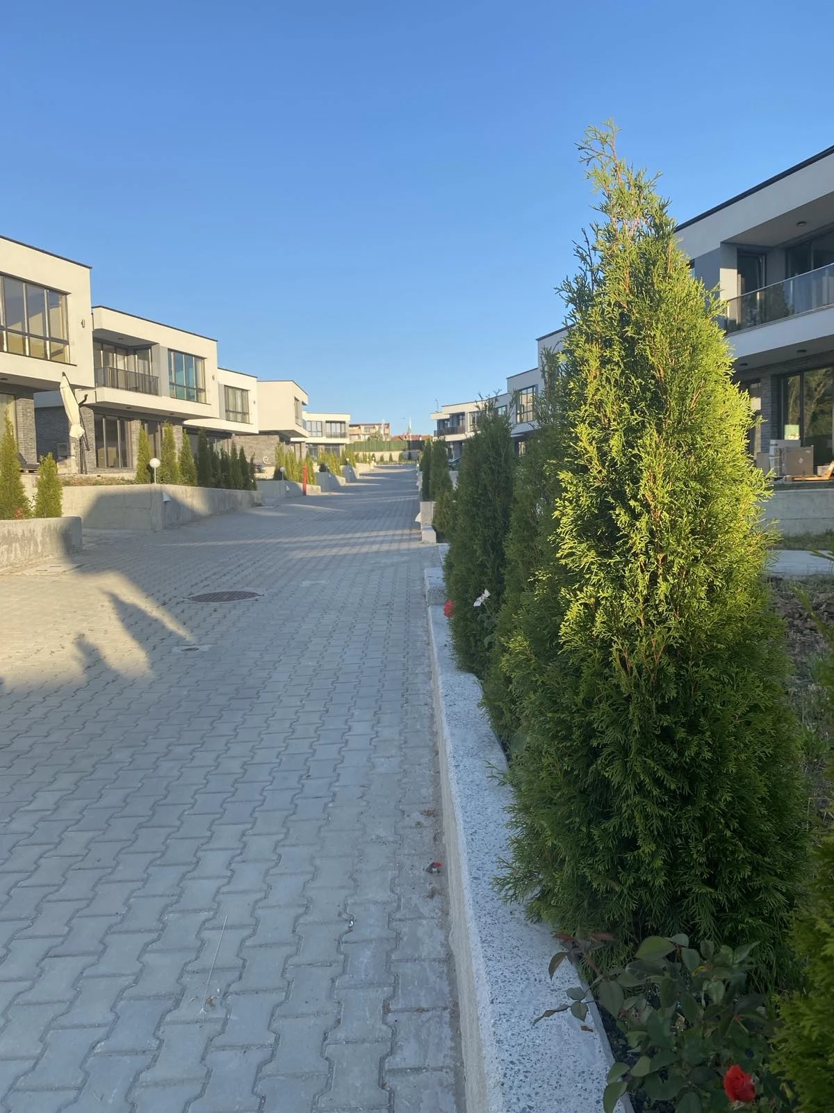 439-snimka-18-17512764975115.jpg