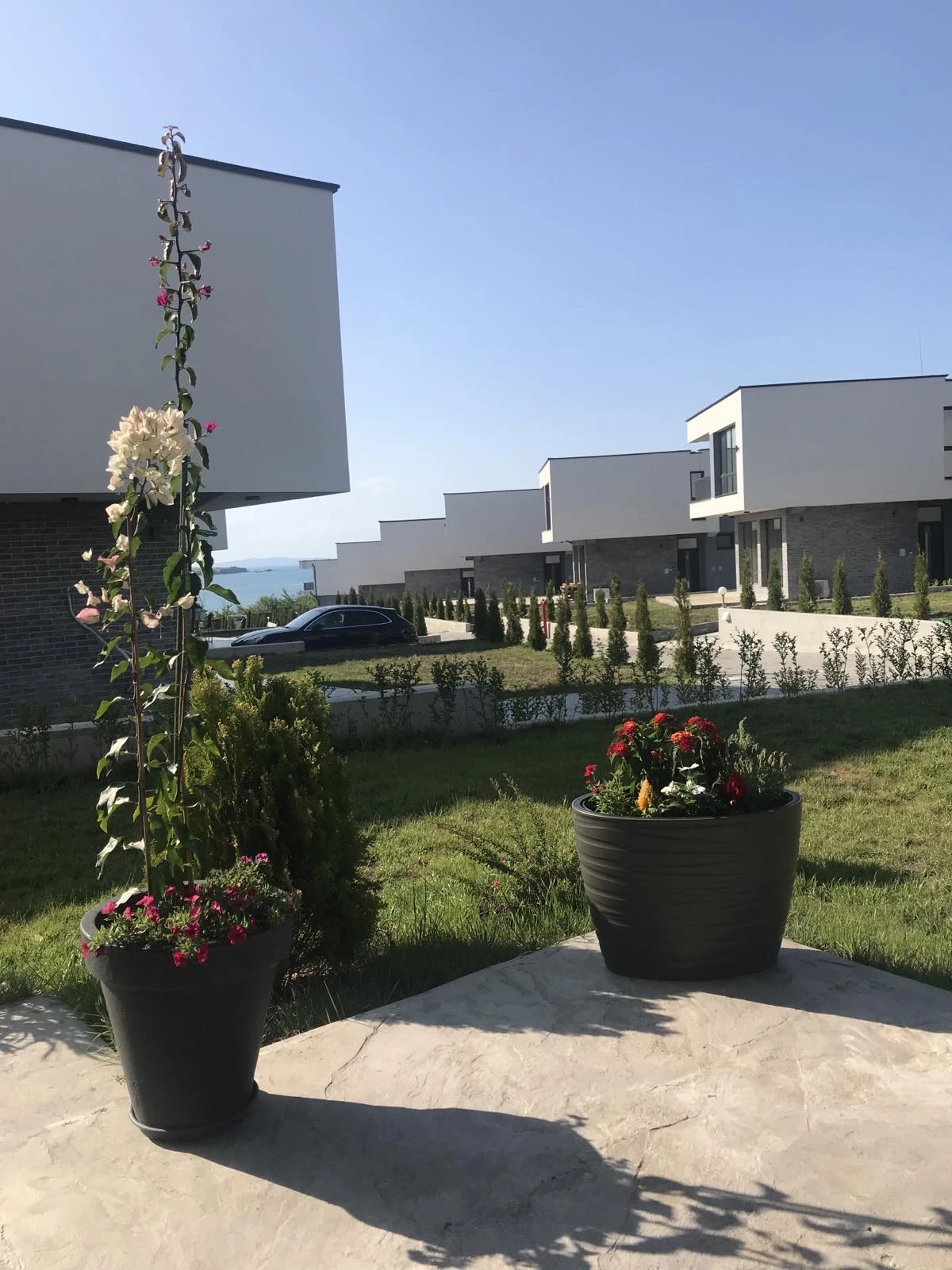 439-snimka-3-17512764970099.jpg