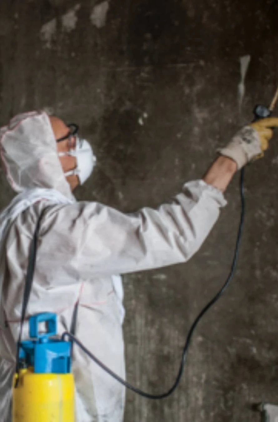 Професионално почистване след пожар – отстраняване на сажди и дим