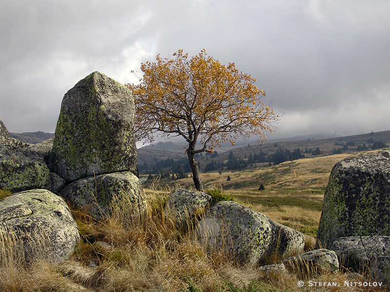 Autumn in Vitosha 403-autumn-in-rila.jpg