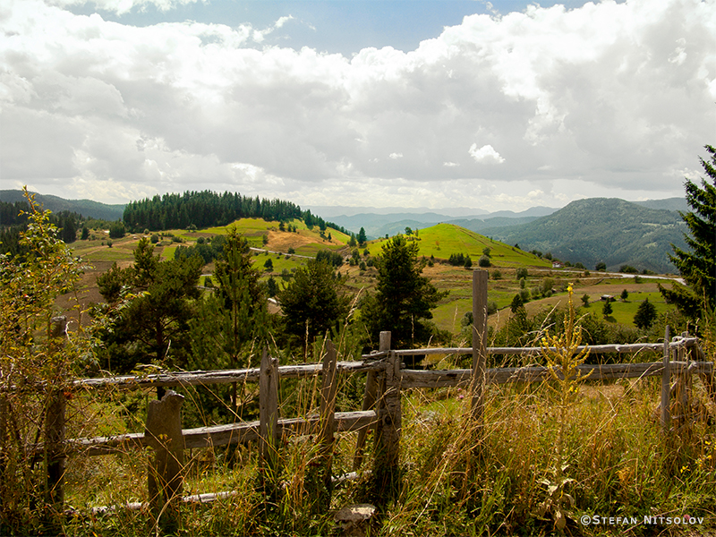 August in Rodopi 403-copyright-16117045755172.jpg