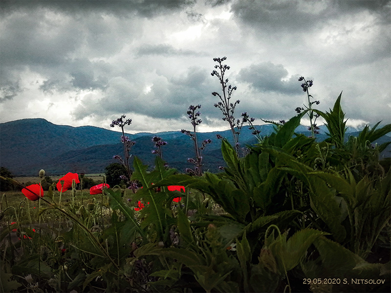 In the Surroundings of Dolna Banya 403-in-the-surroundings-of-dolna-banya.jpg