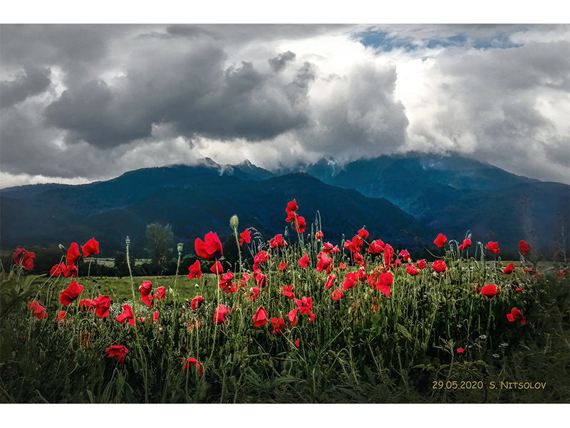View to Rila from Dolna Banya 403-view-to-rila-from-dolna-banya.png