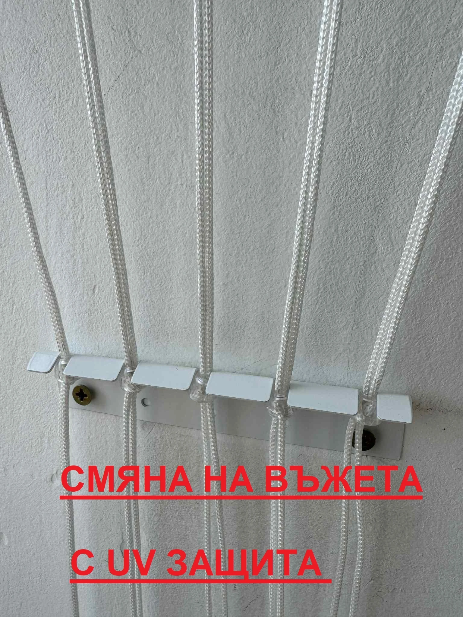 290-afa1533a-dc41-4d3f-9537-de9dce1ec5b4-17580413812582.jpg