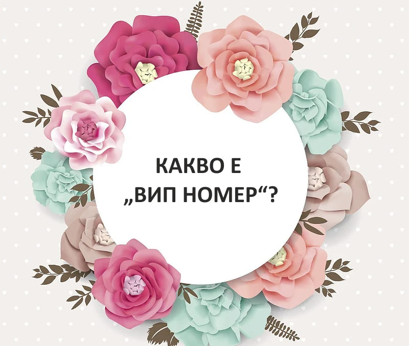 09680067825-вип-17060202402629.png