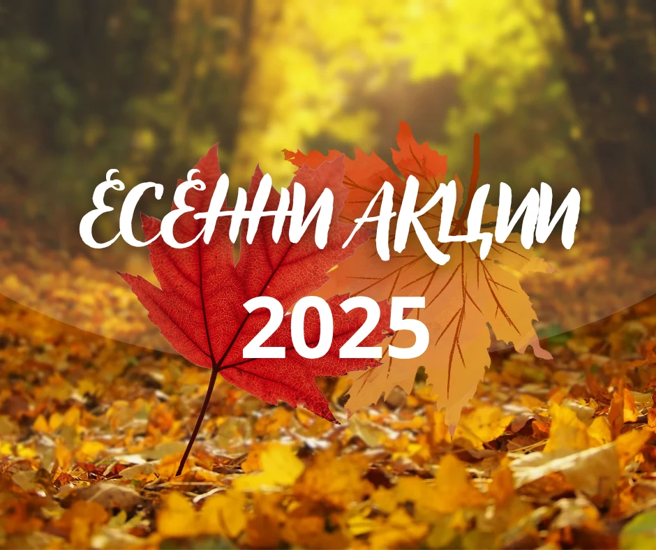 1054-colorful-fall-leaves-facebook-post202508292324240000-17568918495659.png