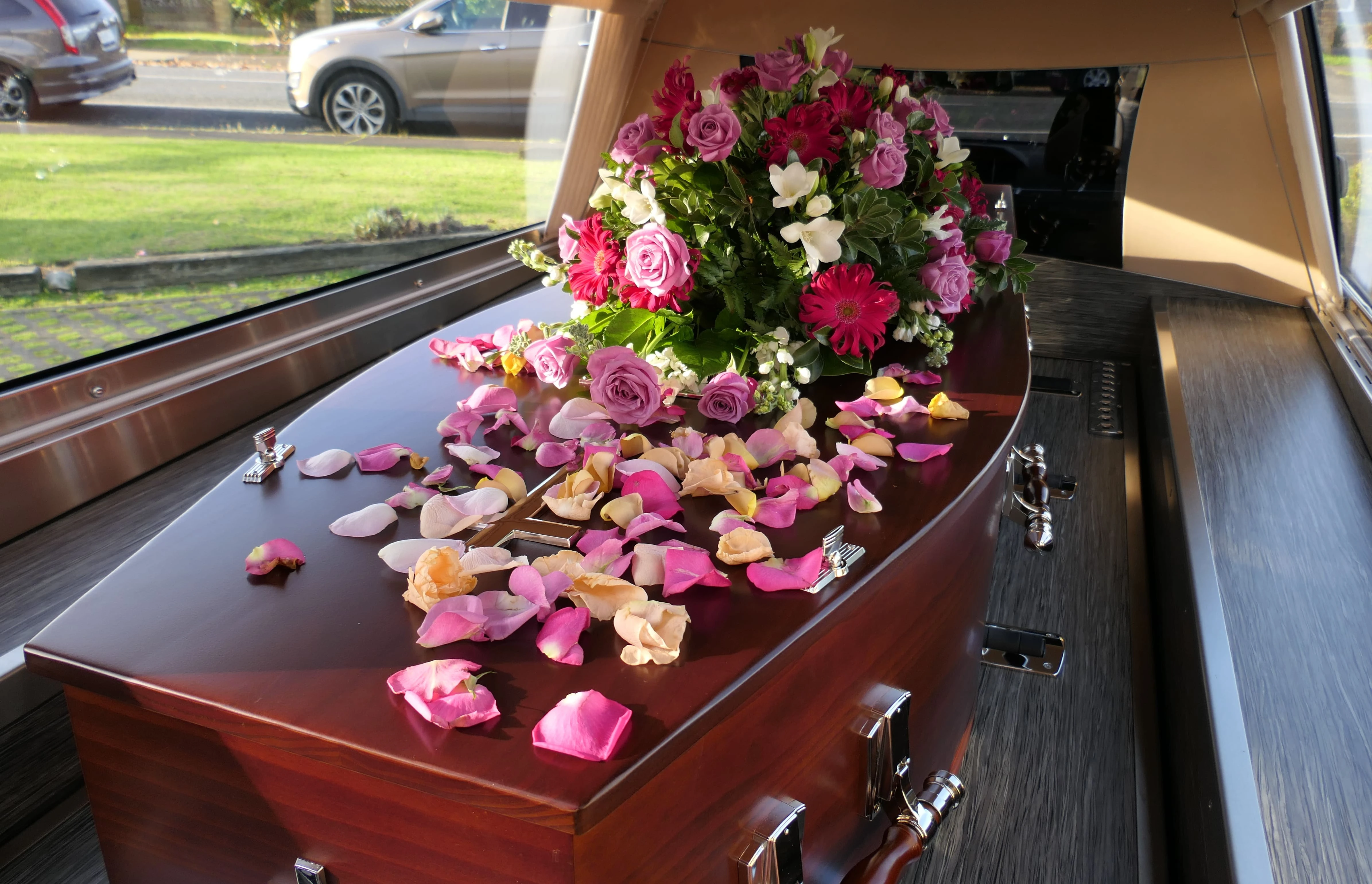 Транспорт на ковчег