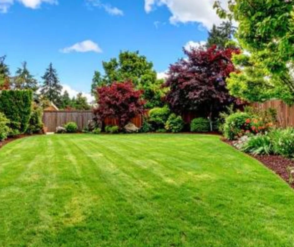 Оеленяване на жилищни компекси 