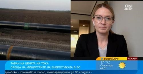 Евродепутат: Таван на вноса на руския газ няма да реши енергийната криза