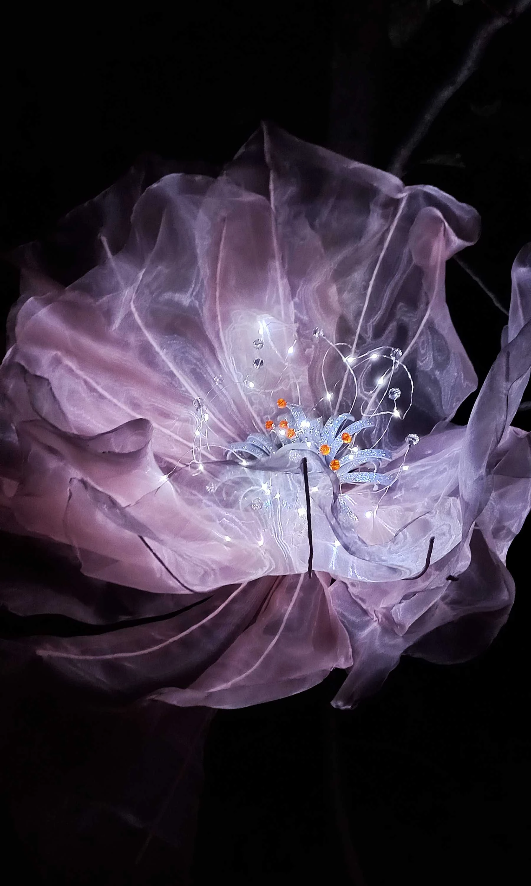 частна нощна фотосесия 217-20230930194319-17069044292958.jpg