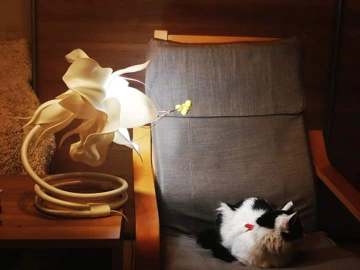 Драконово цвете, навита дръжка 217-fbimg1699640827676-17055123221328.jpg