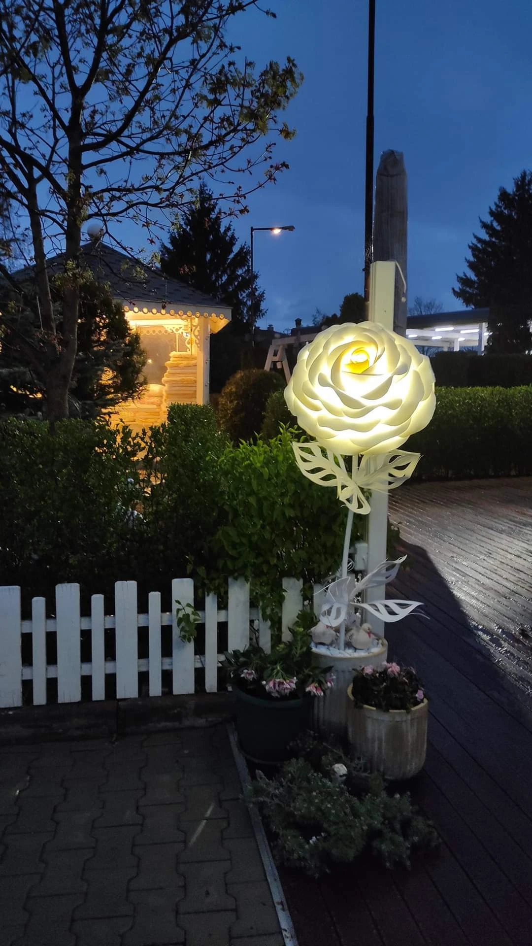 Бански Хан, градина 217-fbimg1705046998231-17056919014237.jpg