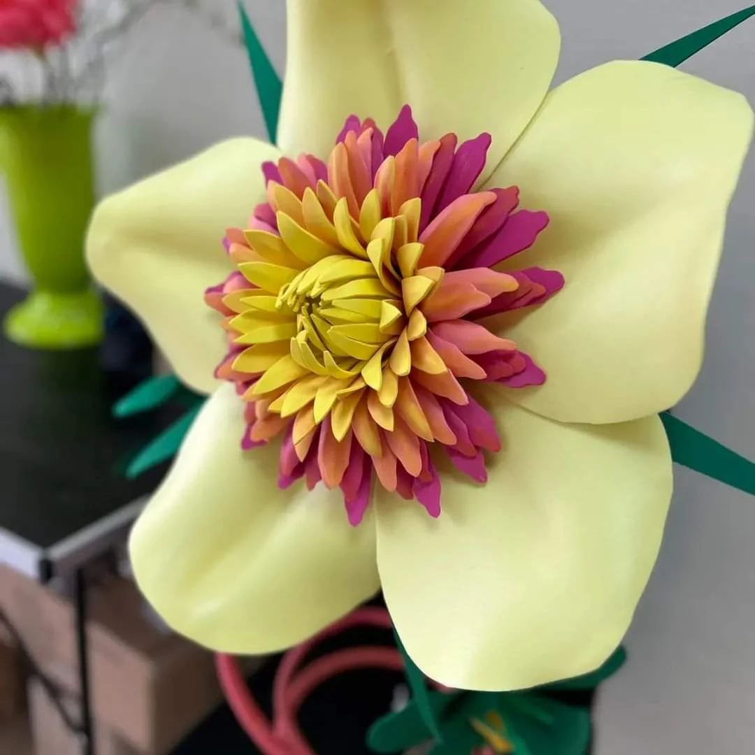 Тученица, по истинско цвете 217-fbimg1705047049468-17055128498872.jpg