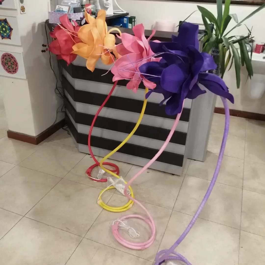 драконово цвете, различни цветове 217-fbimg1705047123573-17055113171735.jpg