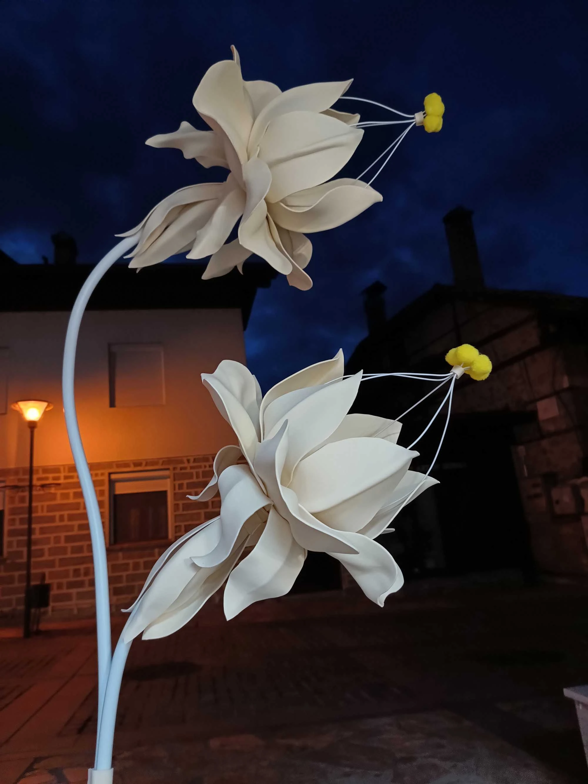 Драконово цвете ,"Сладки изкушения"-Банско 217-img20231102175334862hdr-17068221017497.jpg