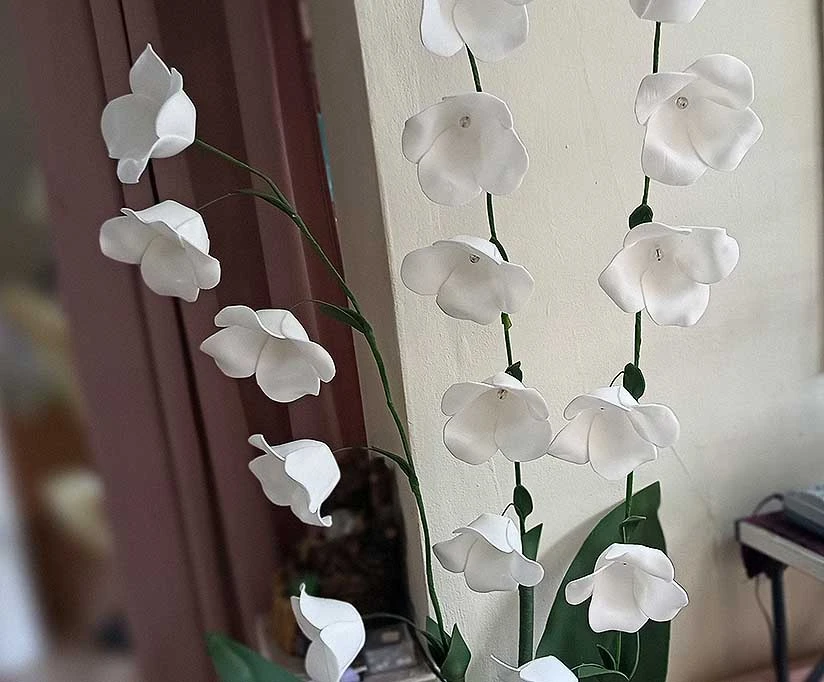 Момина сълза Момина сълза