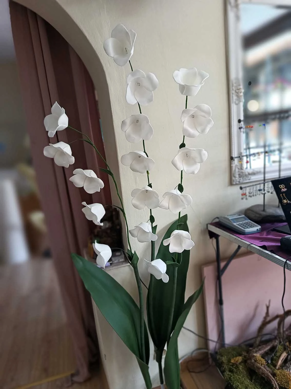 Момина сълза Момина сълза