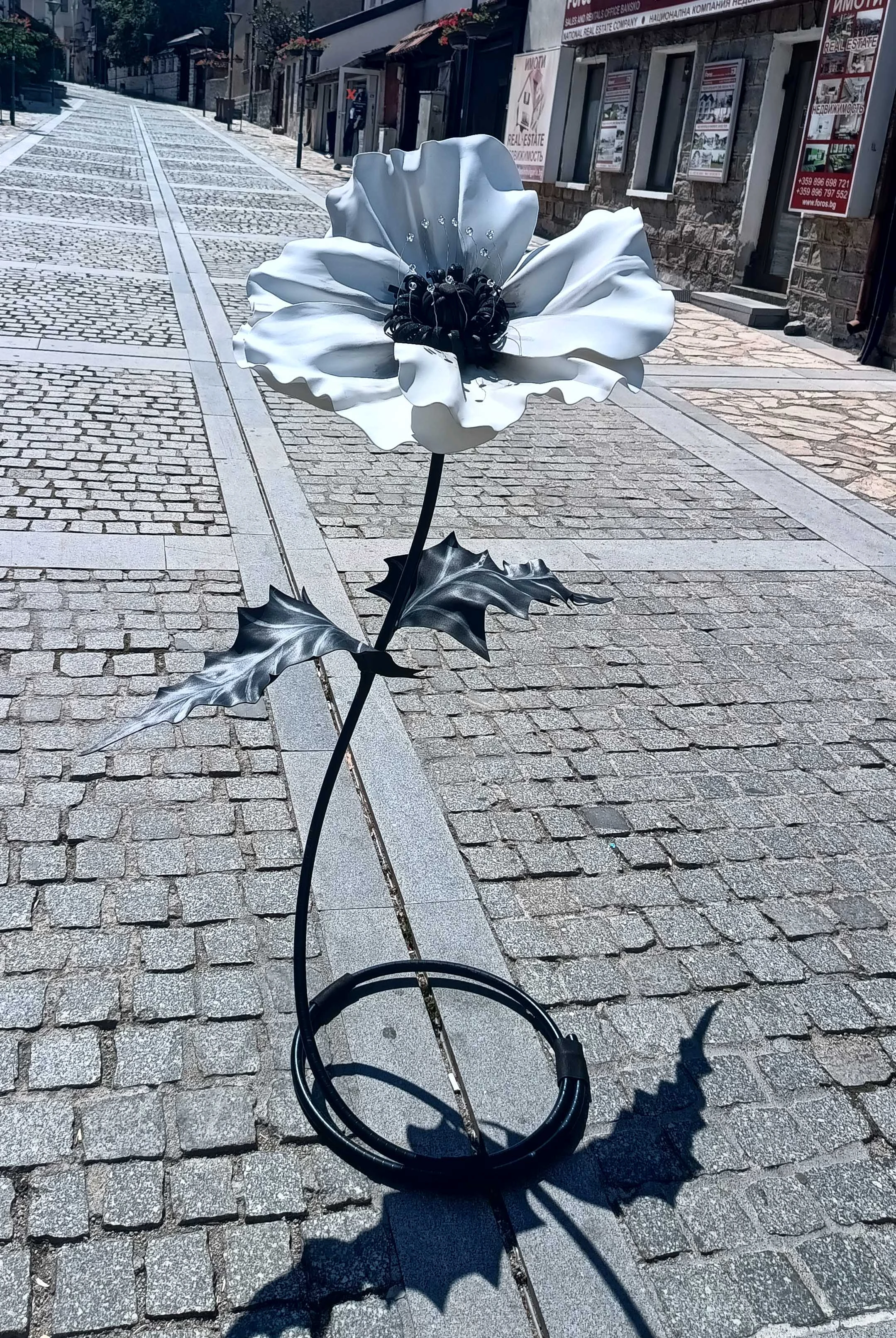 Анемония -стоящо цвете 217-img21111-17068238984055.jpg