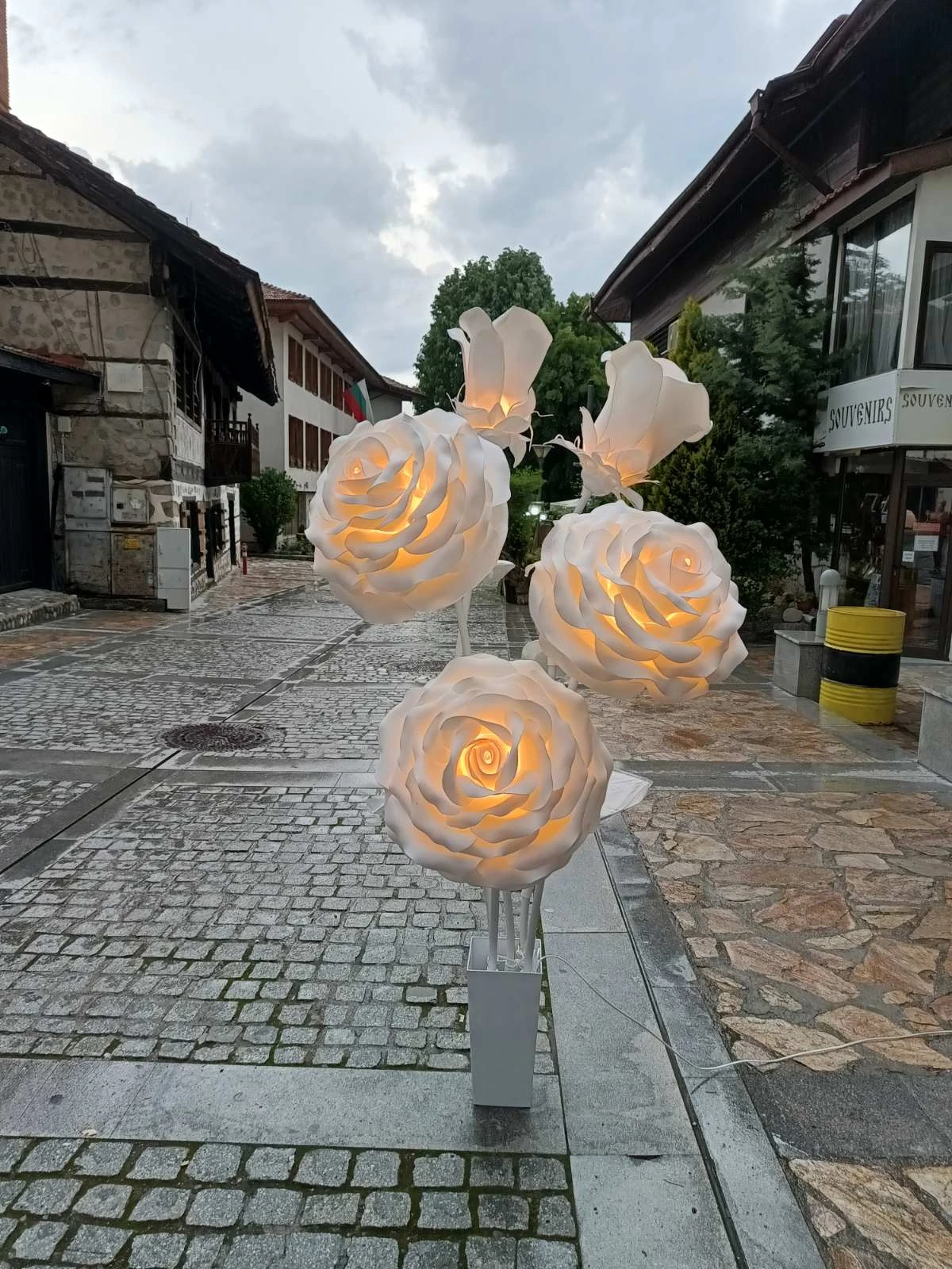 Големи светещи бели рози, оформени като храст