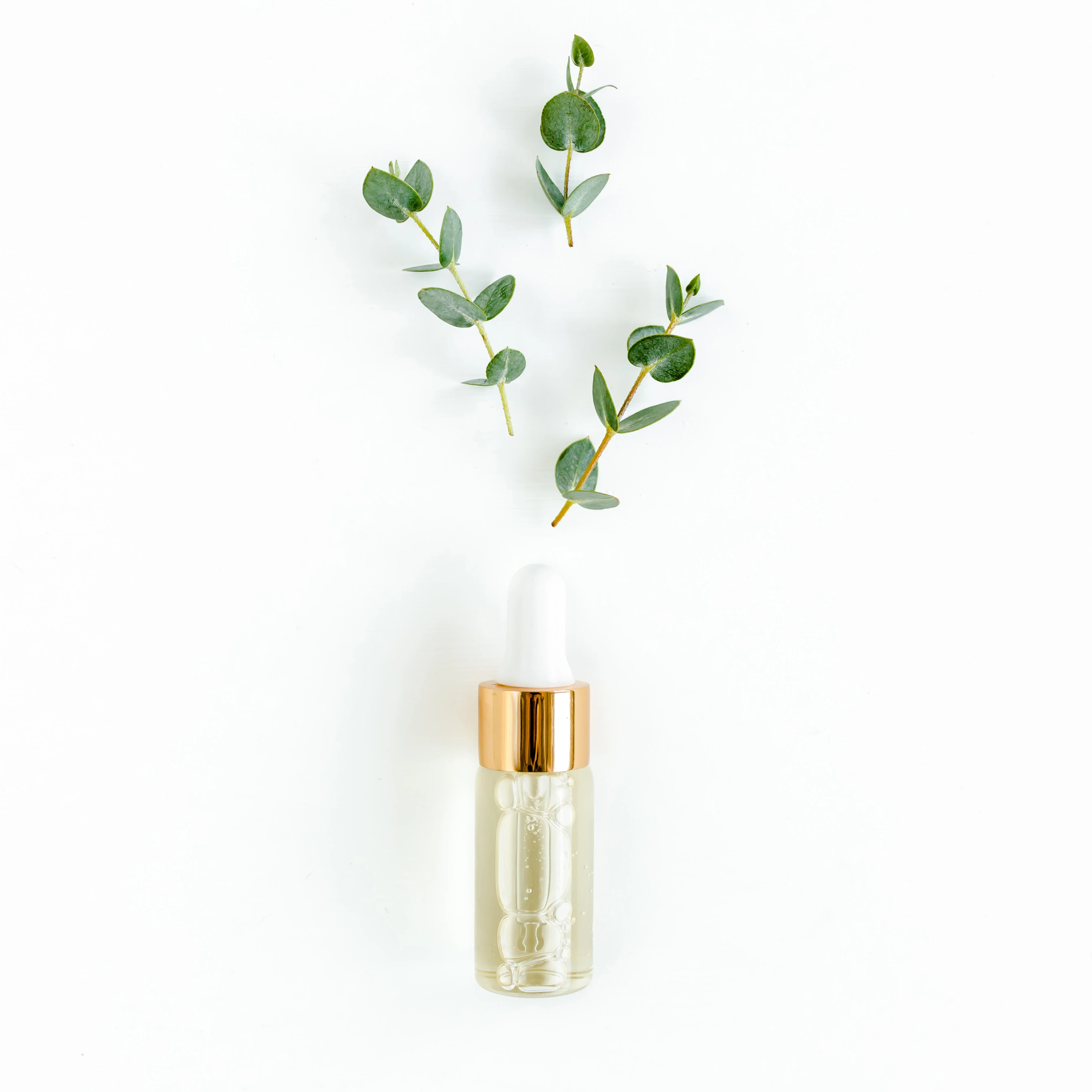 918036953695102-eucalyptus-essential-oil-eucalyptus-leaves-white-background-natural-organic-cosm-17575909236847.jpg