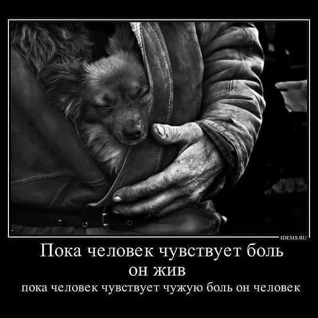 Не знание и любовь и доброта, а знание и ЧУВСТВИТЕЛЬНОСТЬ. Включите свои рецепторы.