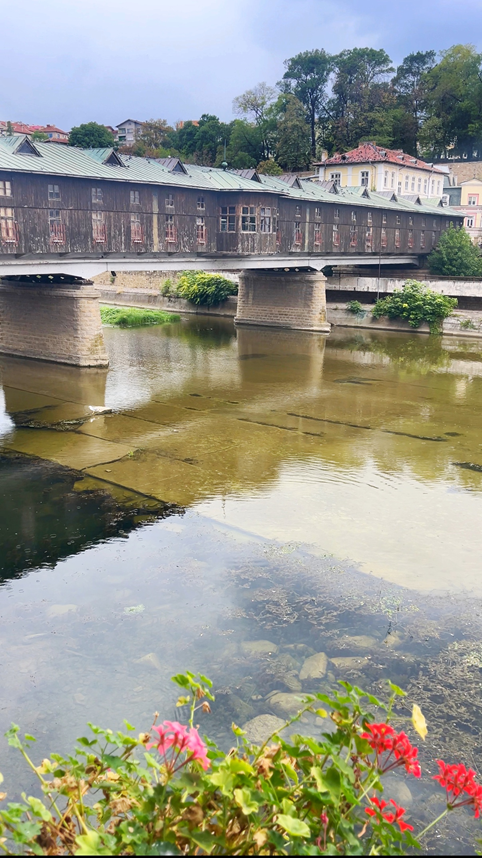 475-lovech-17474744728631.png