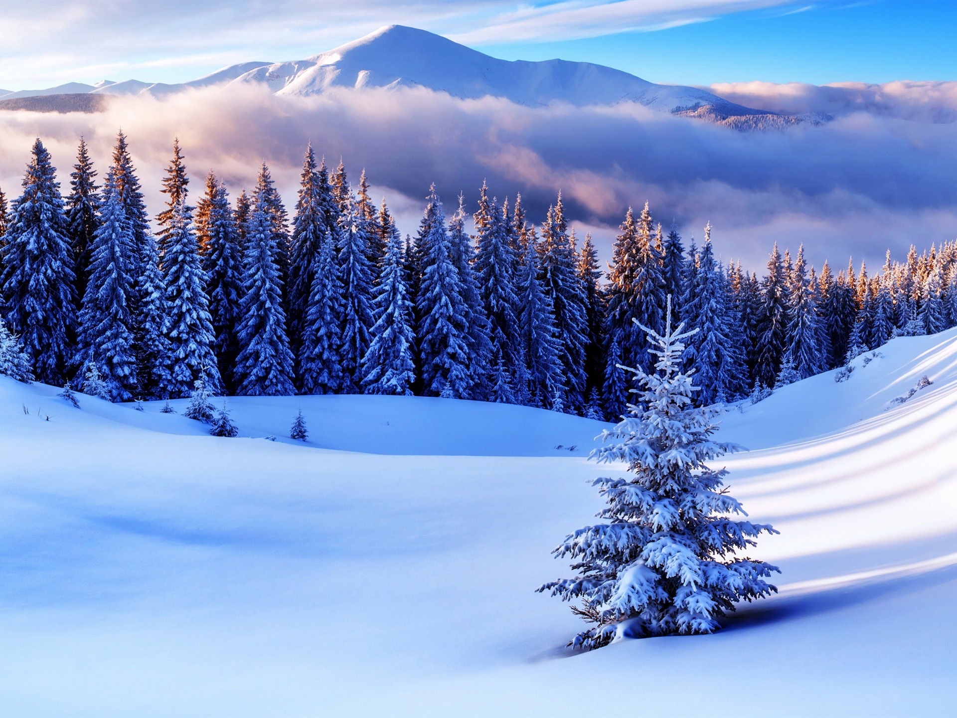 230-r223-winterseasonmountains-highqualitywallpaper1920x1440-16929766642649.jpg