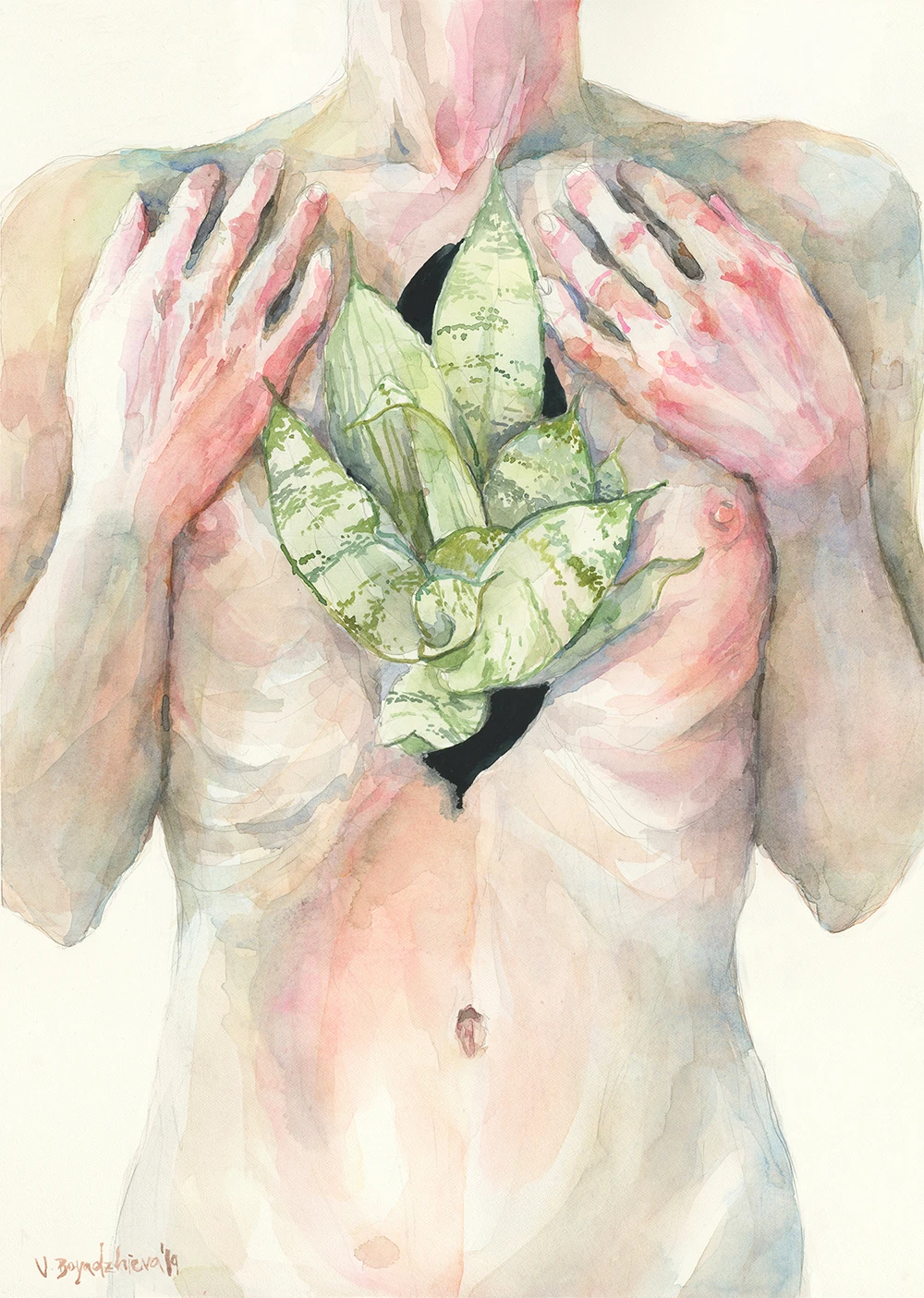 "Прорастване" 118-sanseriera-sm-17397086356237.jpg