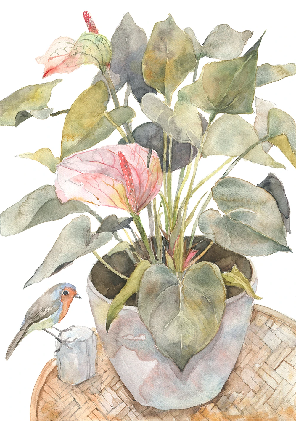 "Червеношийка" 141-anthurium-bird-sm-17307229693736.jpg