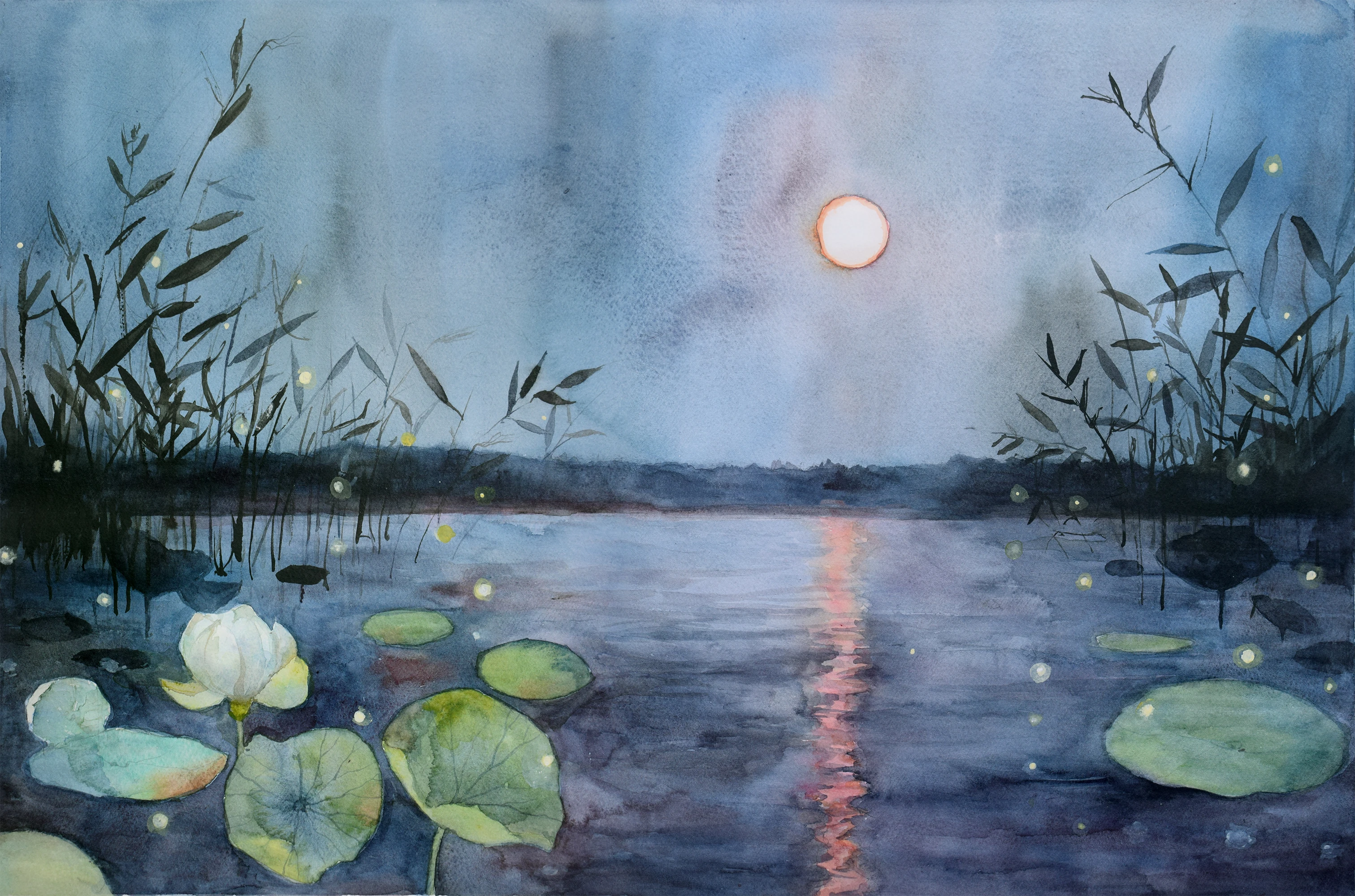 "Светулки" 141-fireflies-sm-17307229821956.jpg