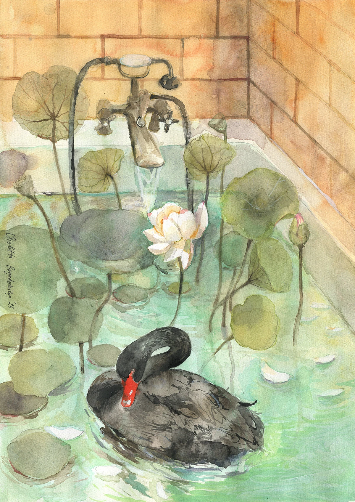 "The Lotus bathtub" 189-black-swan-tub-yellow-sm-17431657109326.jpg