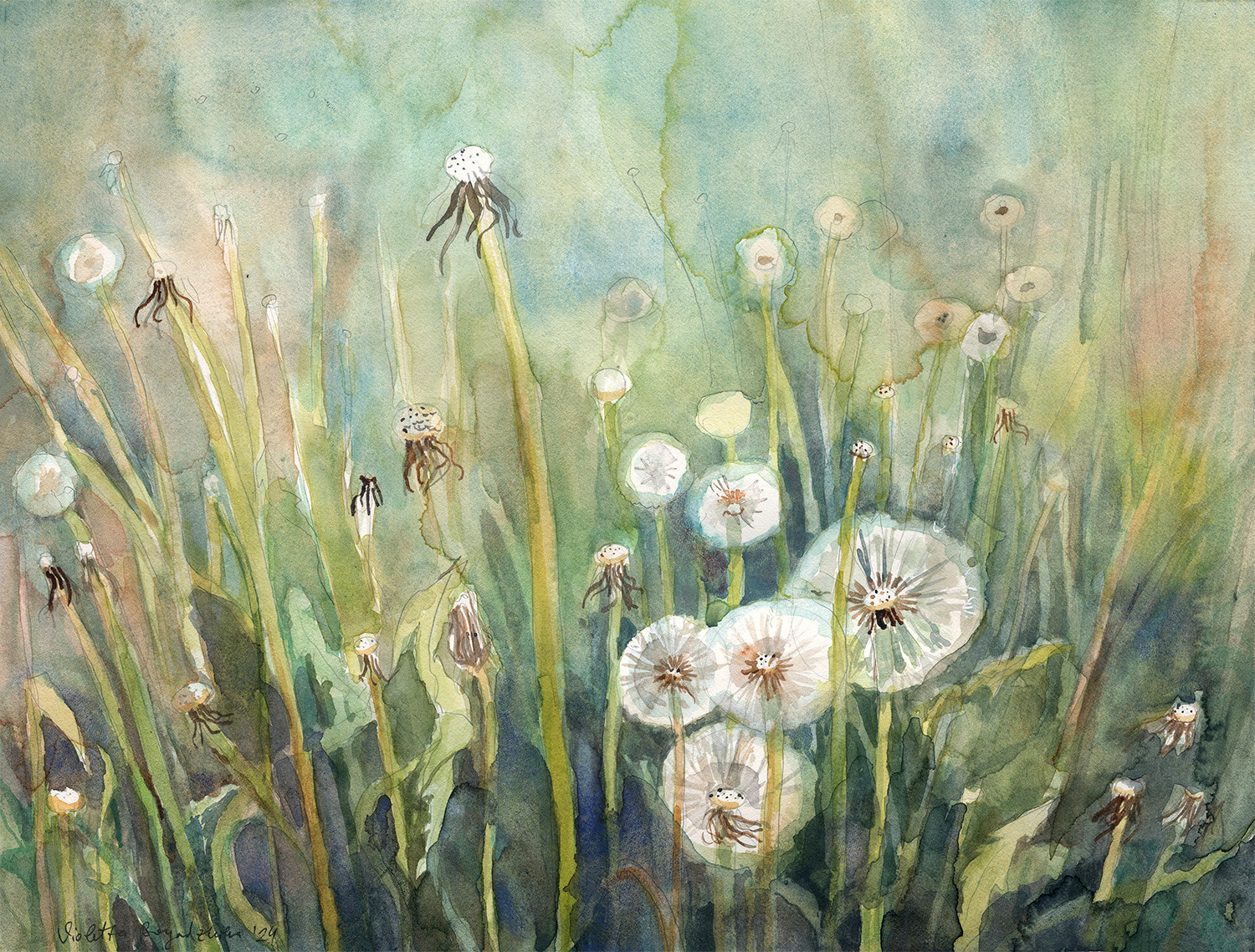 "Глухарчета" Глухарчета