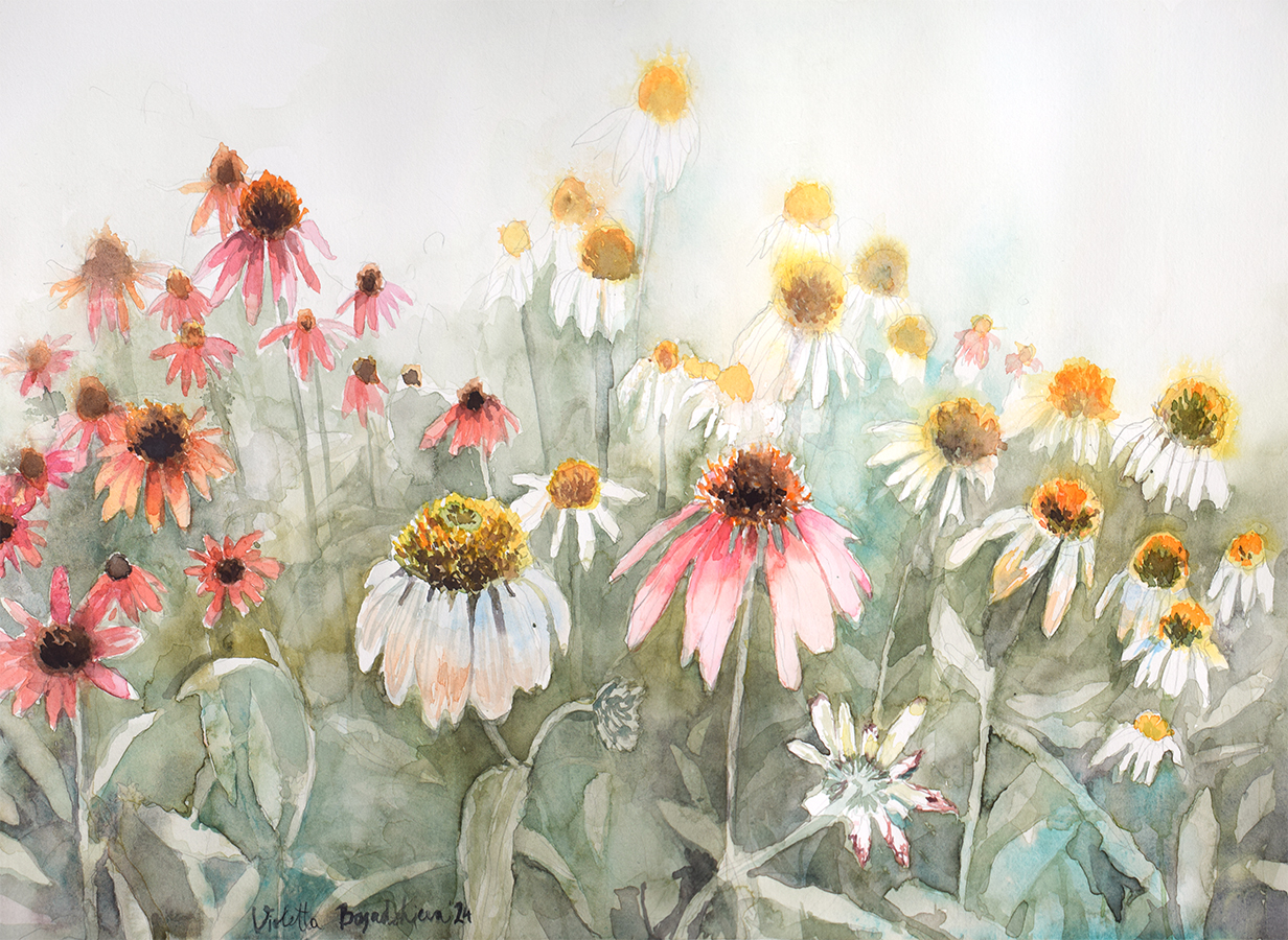 "Ехинацея 2" 189-echinacea-3-wp-sm-17308973209869.jpg