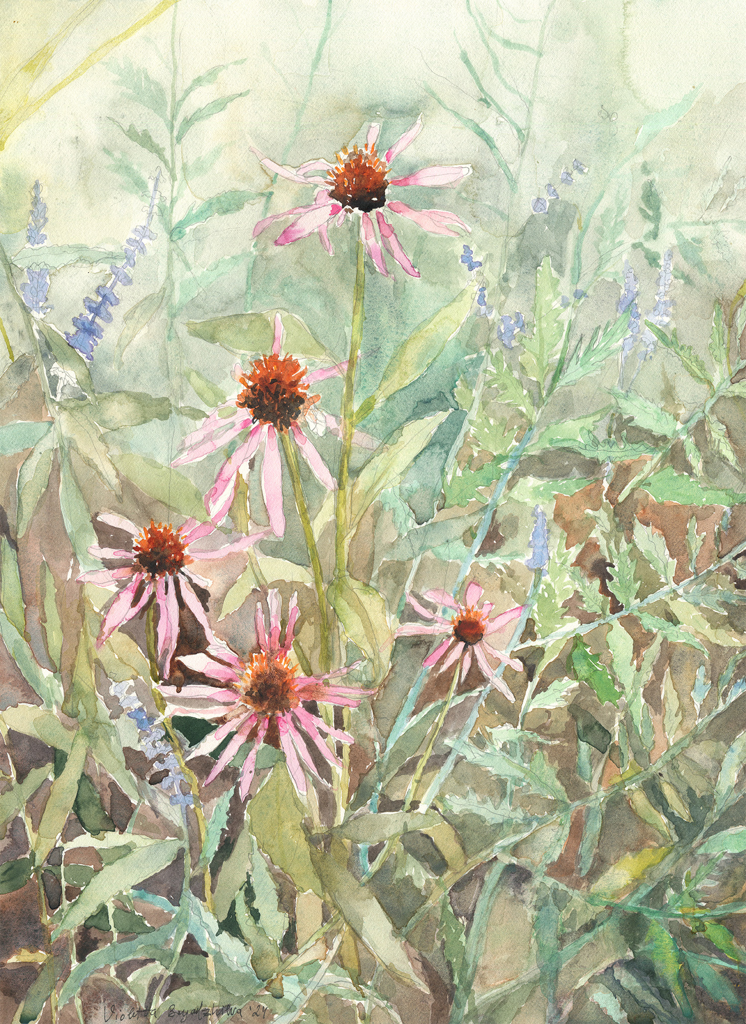 "Ехинацея 4" картина ехинацея
