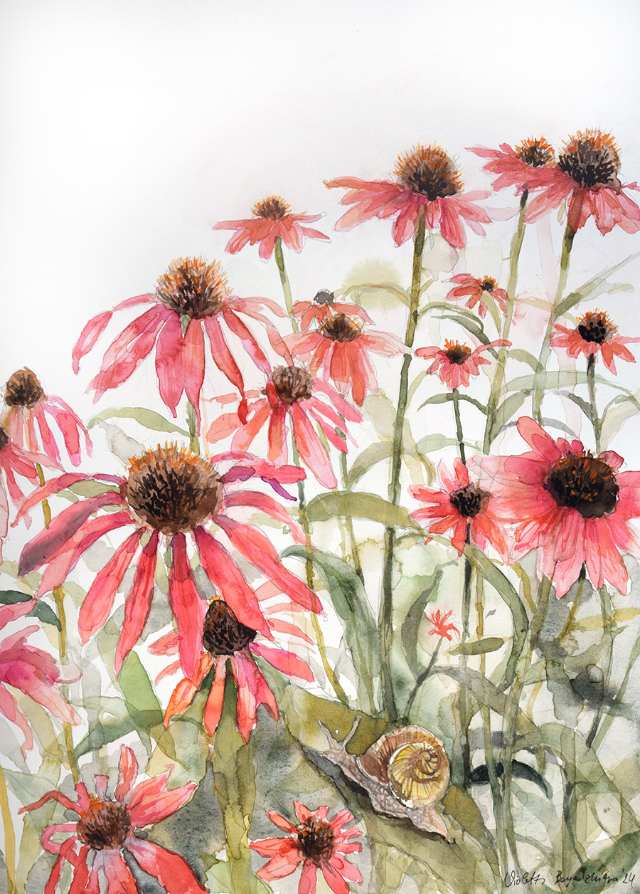 "Ехинация 1" 189-ehinacea-fb-1730716516059.jpg