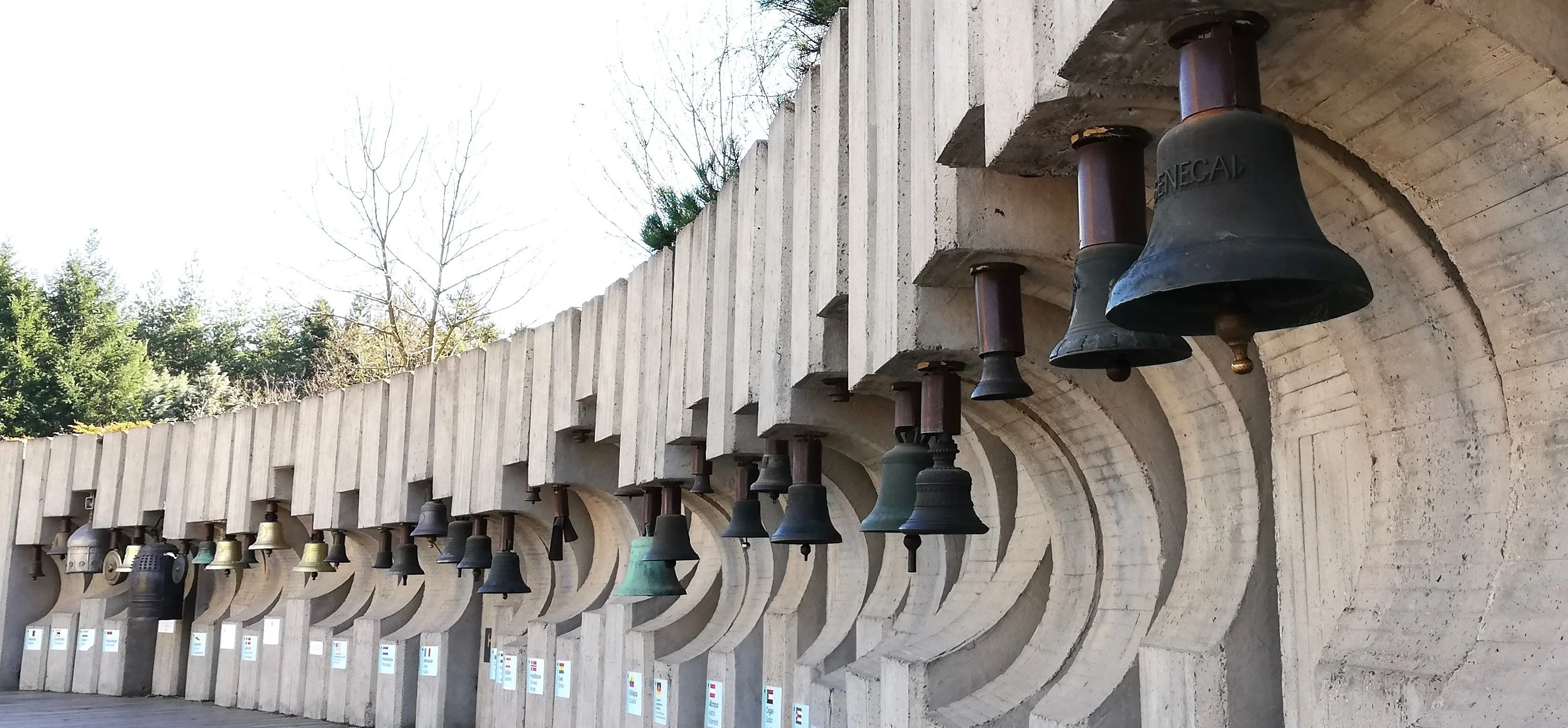 International Children's Assembly "Peace Flag"