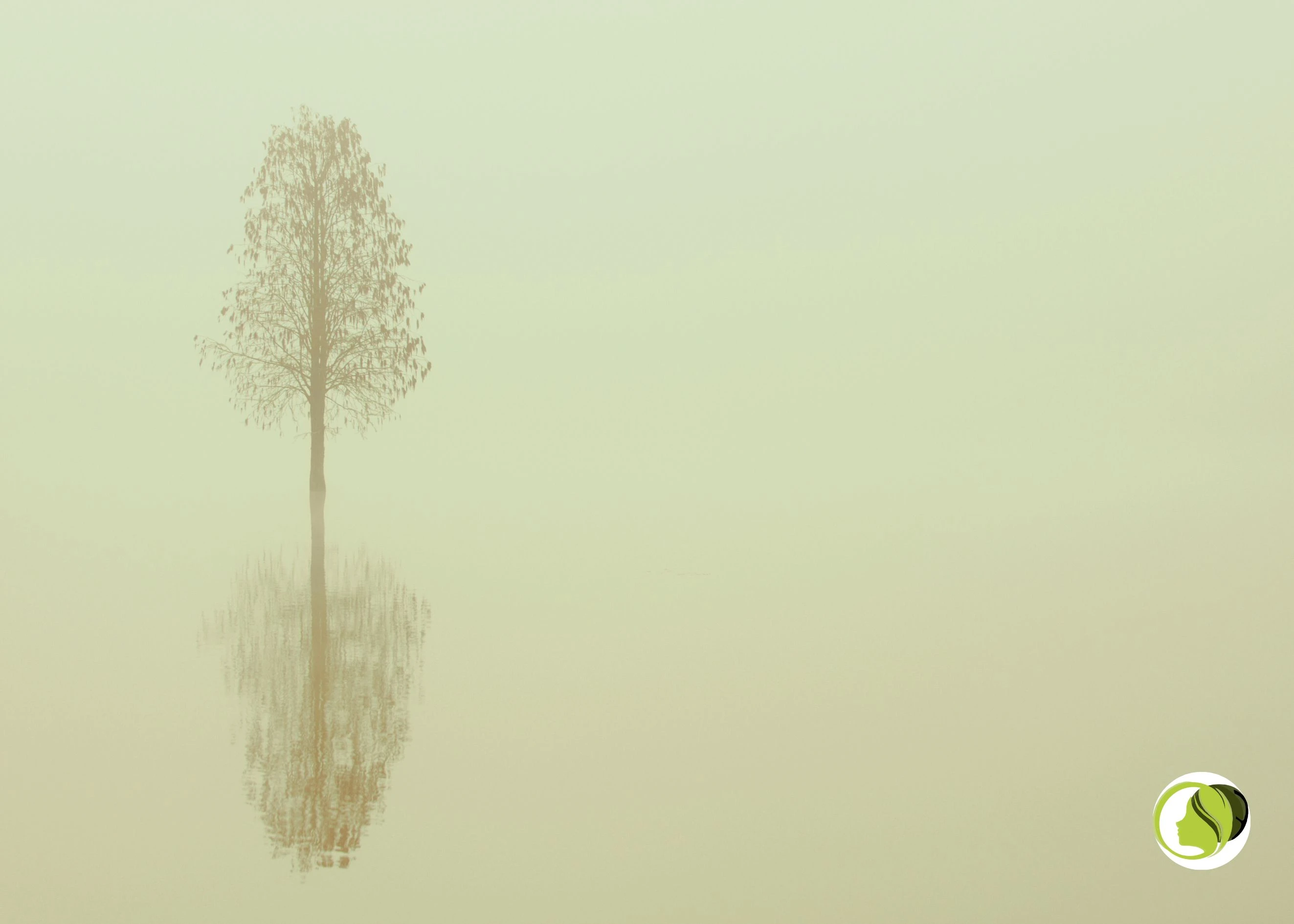 Когато тишината звучи като заплаха