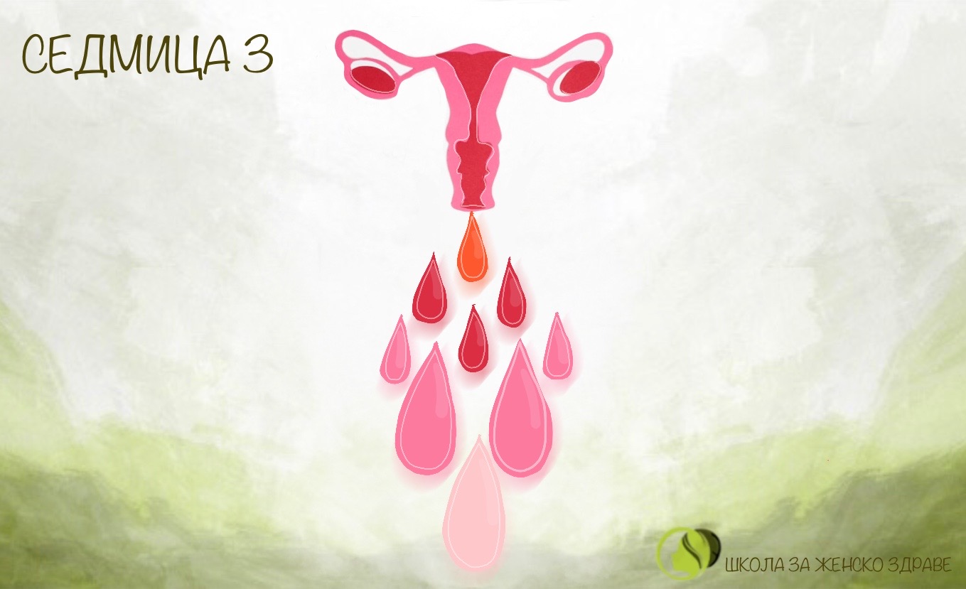r249-week3-16863168844931.jpeg