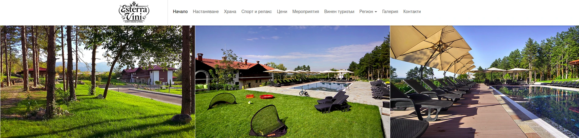 1324-естера-17395258931262.png