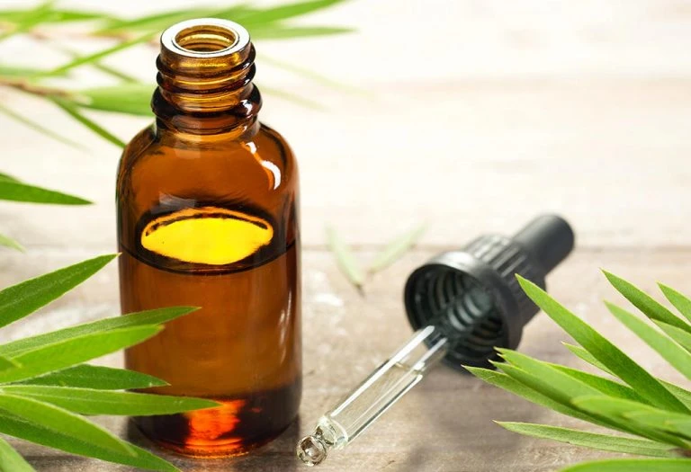 CBD масло: Ползи, употреба и как да изберете качествен продукт 🌱