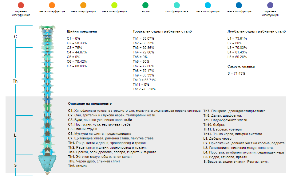 Как се отразява състоянието на гръбначния стълб на останалите органи на човешкото тяло?