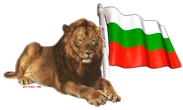 577-balgarskoznamelavanimiranianimaciinet-17407556019322.gif